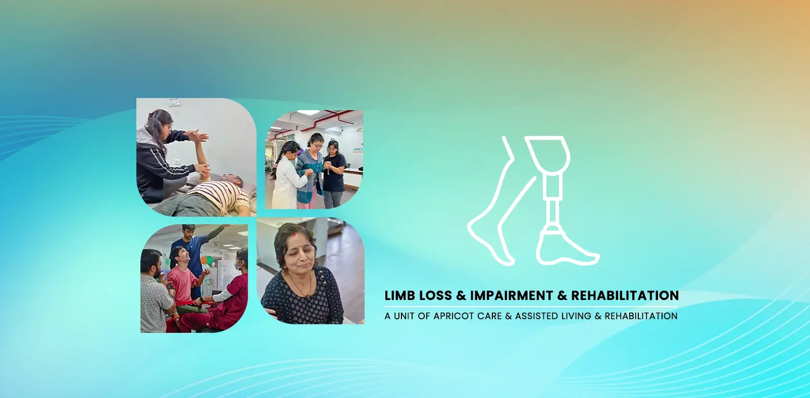Limb Loss Impairement